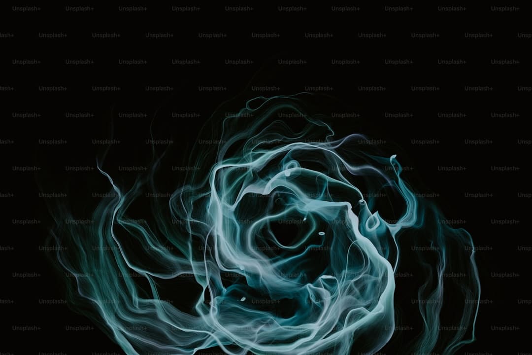 古城炮仗花开 点燃泉州春意（图）